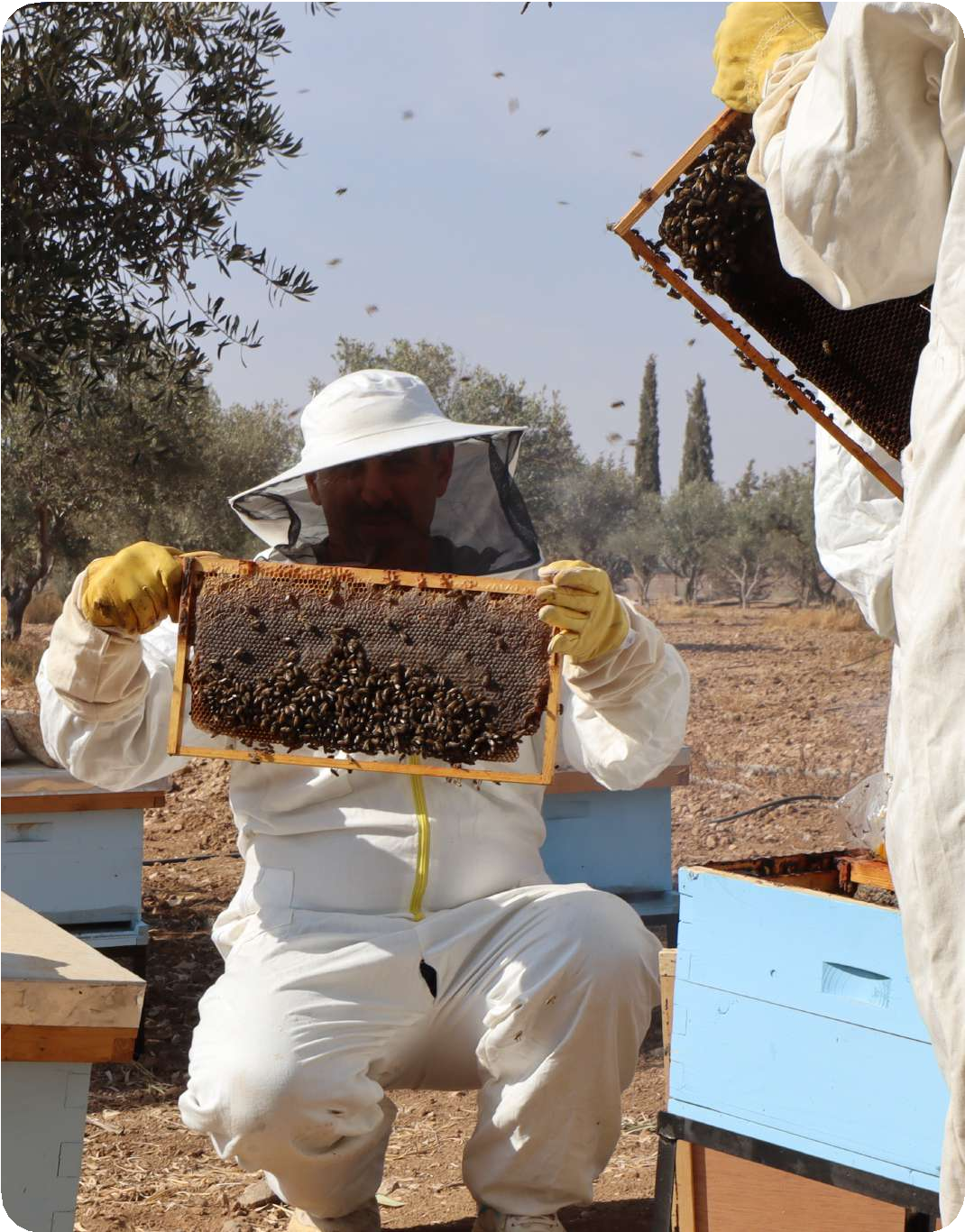 ADDAR Honey Products